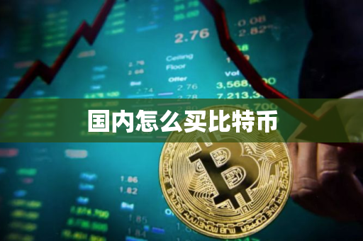 国内怎么买比特币