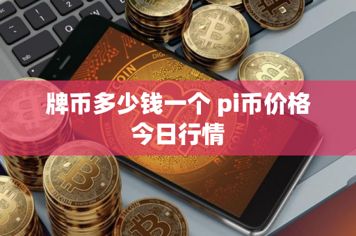 牌币多少钱一个 pi币价格今日行情