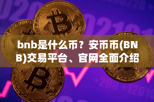 bnb是什么币？安币币(BNB)交易平台、官网全面介绍
