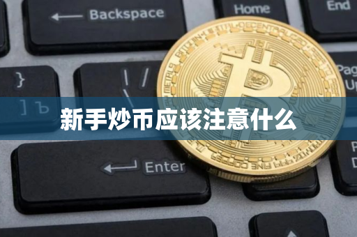 新手炒币应该注意什么