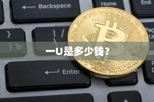 一U是多少钱？