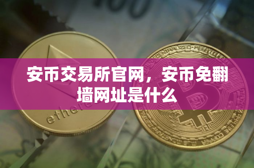 安币交易所官网，安币免翻墙网址是什么