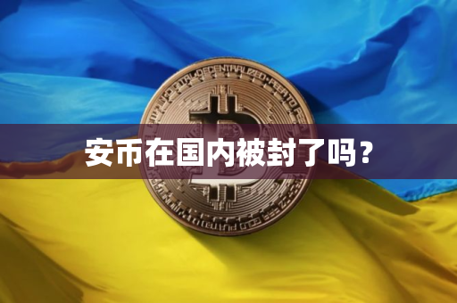 安币在国内被封了吗？