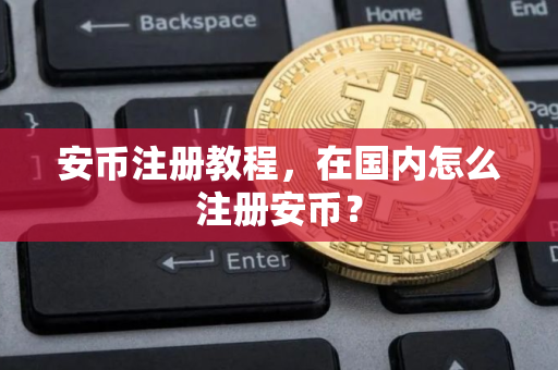 安币注册教程，在国内怎么注册安币？