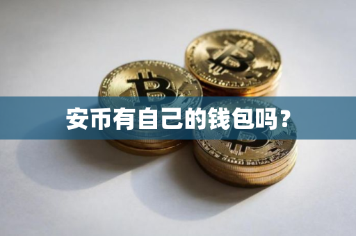 安币有自己的钱包吗？