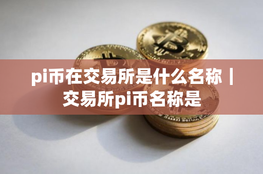 pi币在交易所是什么名称｜交易所pi币名称是