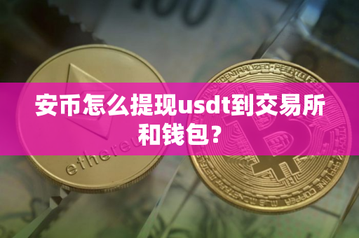 安币怎么提现usdt到交易所和钱包？