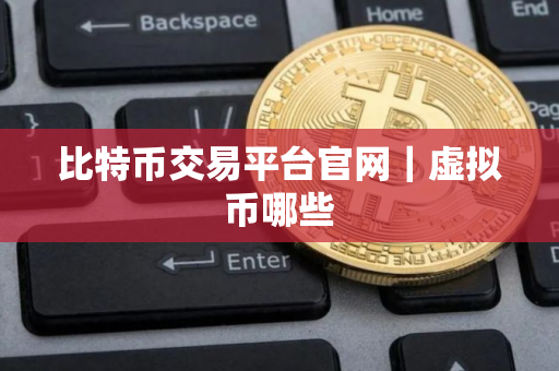 比特币交易平台官网｜虚拟币哪些