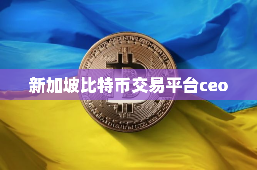 新加坡比特币交易平台ceo