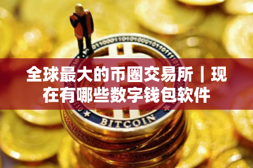 全球最大的币圈交易所｜现在有哪些数字钱包软件