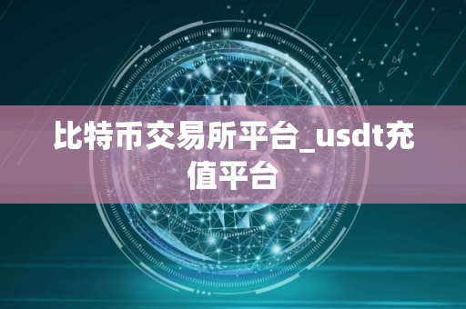 比特币交易所平台_usdt充值平台