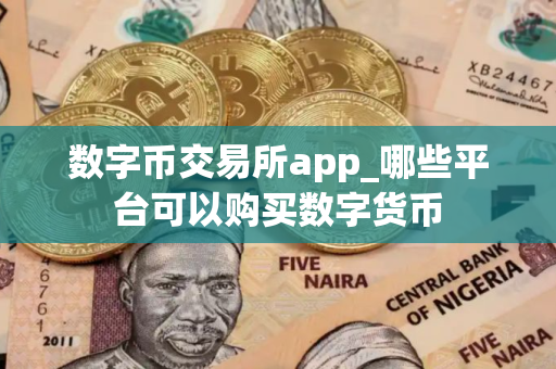 数字币交易所app_哪些平台可以购买数字货币