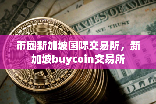 币圈新加坡国际交易所，新加坡buycoin交易所