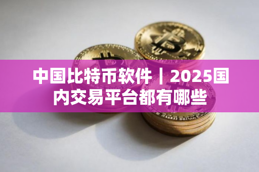 中国比特币软件｜2025国内交易平台都有哪些