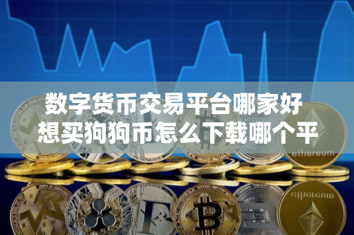 数字货币交易平台哪家好 想买狗狗币怎么下载哪个平台 数字货币交易平台哪家好 想买狗狗币怎么下载哪个平台