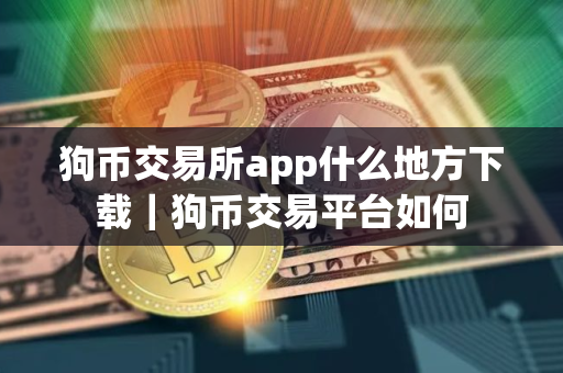 狗币交易所app什么地方下载｜狗币交易平台如何