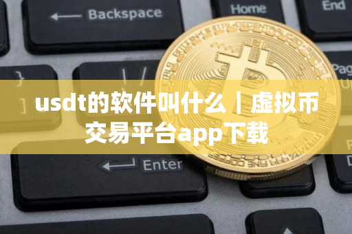 usdt的软件叫什么｜虚拟币交易平台app下载