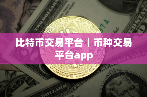比特币交易平台｜币种交易平台app