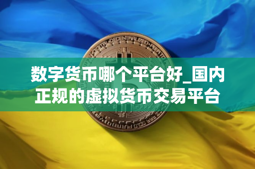 数字货币哪个平台好_国内正规的虚拟货币交易平台