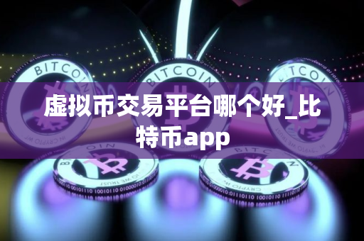 虚拟币交易平台哪个好_比特币app