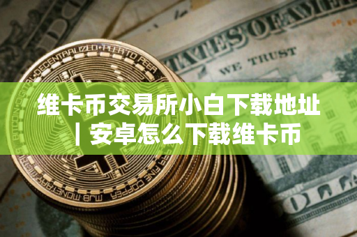 维卡币交易所小白下载地址｜安卓怎么下载维卡币