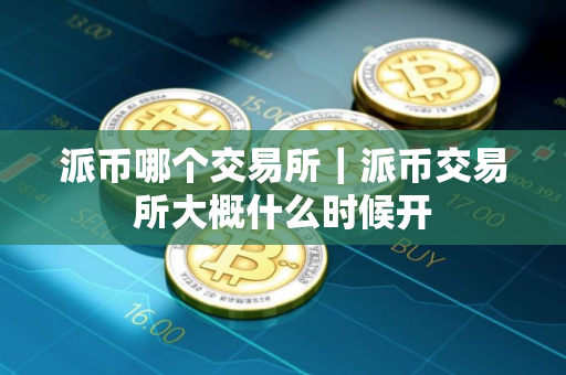 派币哪个交易所｜派币交易所大概什么时候开