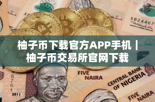 柚子币下载官方APP手机｜柚子币交易所官网下载