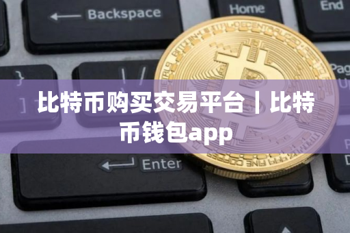 比特币购买交易平台｜比特币钱包app