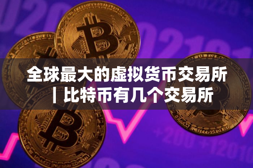 全球最大的虚拟货币交易所｜比特币有几个交易所