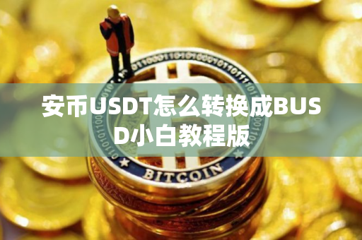 安币USDT怎么转换成BUSD小白教程版