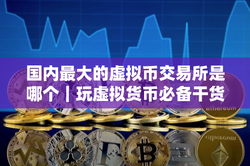 国内最大的虚拟币交易所是哪个｜玩虚拟货币必备干货