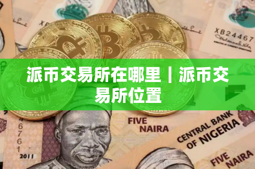 派币交易所在哪里｜派币交易所位置