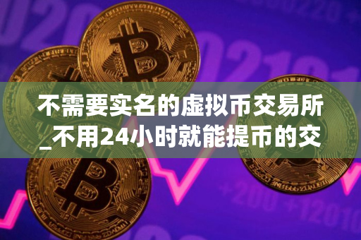不需要实名的虚拟币交易所_不用24小时就能提币的交易所｜前十名